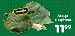 S-Mart manojo Acelga o espinaca oferta