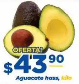 Super Gutiérrez Aguacate hass oferta