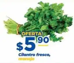 Super Gutiérrez Cilantro fresco, manojo oferta