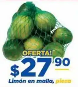 Super Gutiérrez Limón en malla oferta