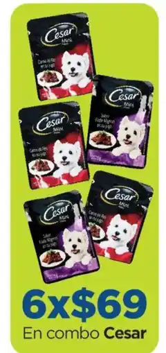 Chedraui Cesar oferta