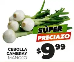 Merco Cebolla cambray manojo oferta