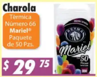 Charola Térmica Número 66 Mariel
