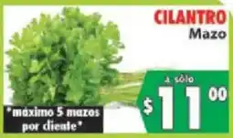 Casa Ley Cilantro Mazo oferta