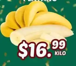Guajardo platano oferta