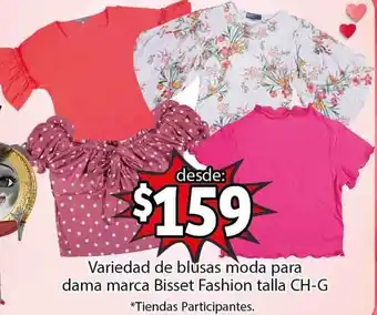 Variedad de Blusas Moda para Dama Marca Bisset Fashion Talla CH-G
