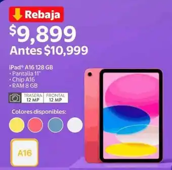 IPad A16