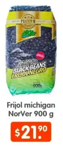 Arteli NorVer frijol michigan oferta