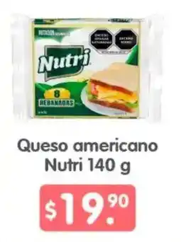 Arteli Nutri Queso americano oferta
