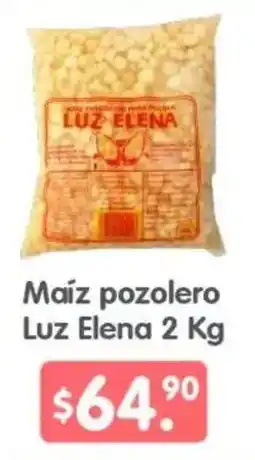 Arteli Luz Elena Maíz pozolero oferta