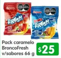 Arteli BroncoFresh oferta