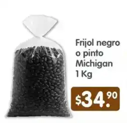 Arteli Frijol negro o pinto Michigan oferta