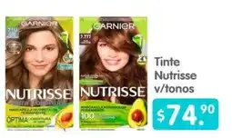 Arteli Garnier Nutrisse v/tonos oferta