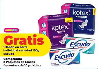 Kotex toallas femeninas