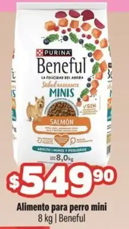 Smart & Final Purina Beneful oferta