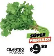 Merco Cilantro oferta