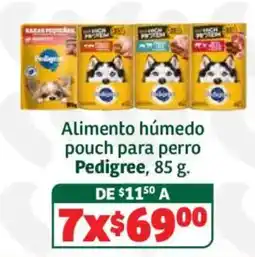 Soriana Híper Pedigree Alimento húmedo pouch para perro oferta
