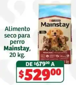Soriana Híper Mainstay Alimento seco para perro oferta