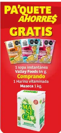 Soriana Mercado Valley Foods sopa instantánea oferta