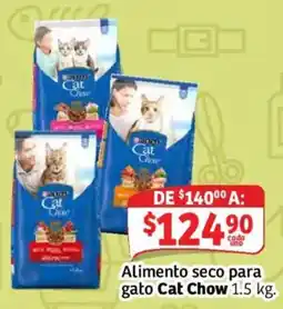 Soriana Mercado Cat Chow oferta