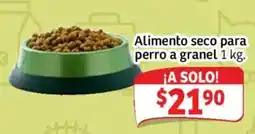 Soriana Mercado Alimento seco para perro oferta