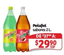 Soriana Mercado Peñafiel sabores oferta