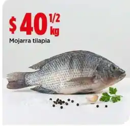 Bodega Aurrerá Mojarra tilapia oferta