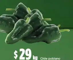 Bodega Aurrerá Chile poblano oferta