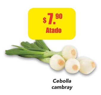 Super Aki Cebolla Cambray oferta