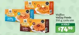 Soriana Híper Valley foods - waffles oferta