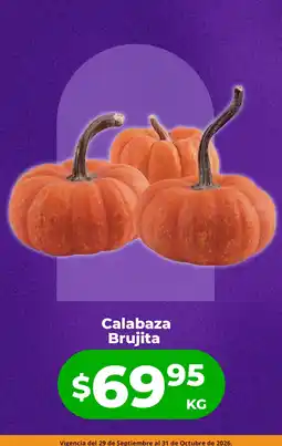 HEB Calabaza Brujita oferta