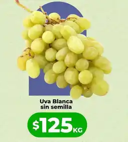 HEB Uva blanca sin semilla oferta