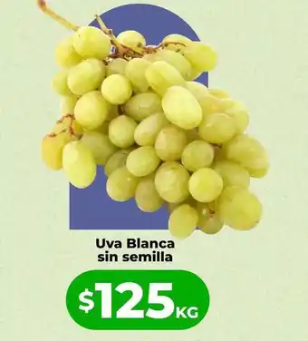 Uva blanca sin semilla