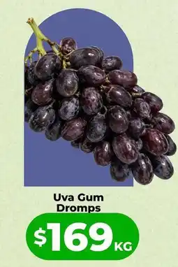 HEB Gum - uva gum dromps oferta