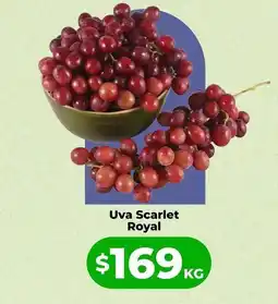HEB Royal - uva scarlet oferta