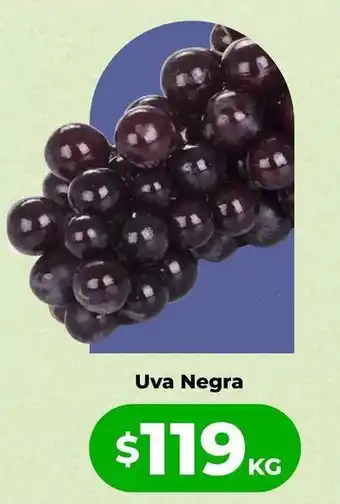 Uva negra