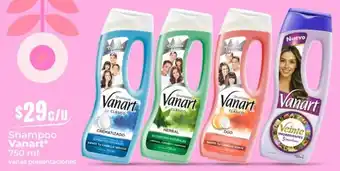 Vanart Shampoo