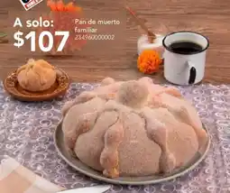 City Club Home & More Pan de muerto familiar oferta
