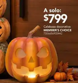 City Club Member's Choice Calabaza decorativa oferta