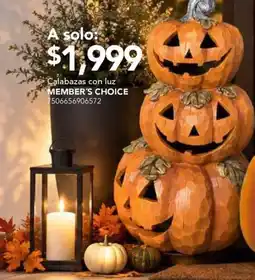 City Club Member's Choice Calabazas con luz oferta