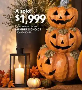 Member's Choice Calabazas con luz