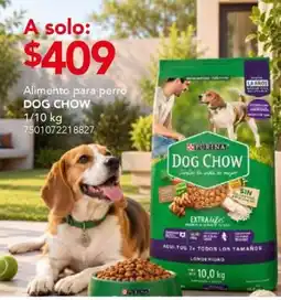 City Club Dog Chow Alimento para perro oferta