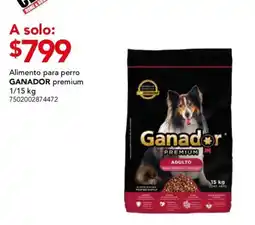 City Club Ganador premium oferta