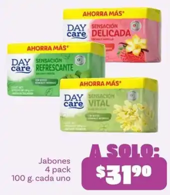 Day care Jabones