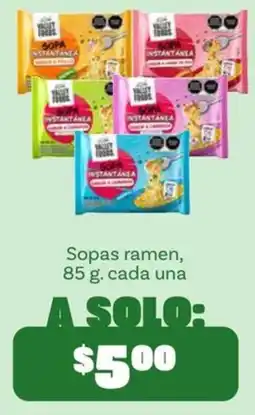 Soriana Mercado Valley Food sopa instantanea oferta