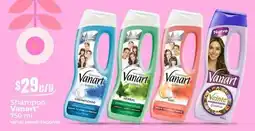 Tiendas Neto Vanart - shampoo oferta