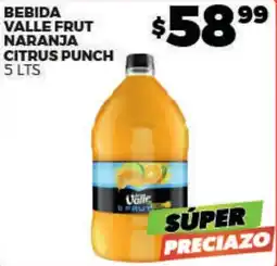 Merco Valle Frut Naranja Citrus Punch oferta