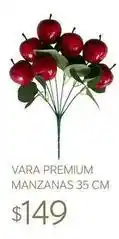 Soriana Híper Premium - vara manzanas oferta