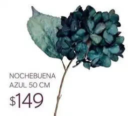 Soriana Súper Nochebuena Azul oferta