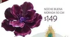 Soriana Súper Noche Buena Morada oferta